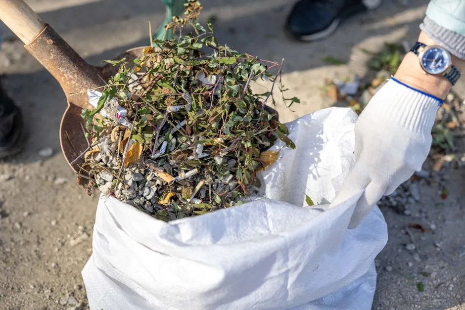 Amenagement paysager d'un jardin a Corbarieu