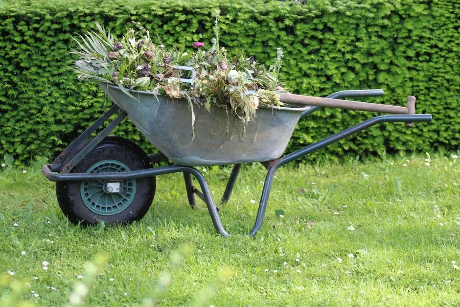Debroussaillage et remise en etat d'un terrain